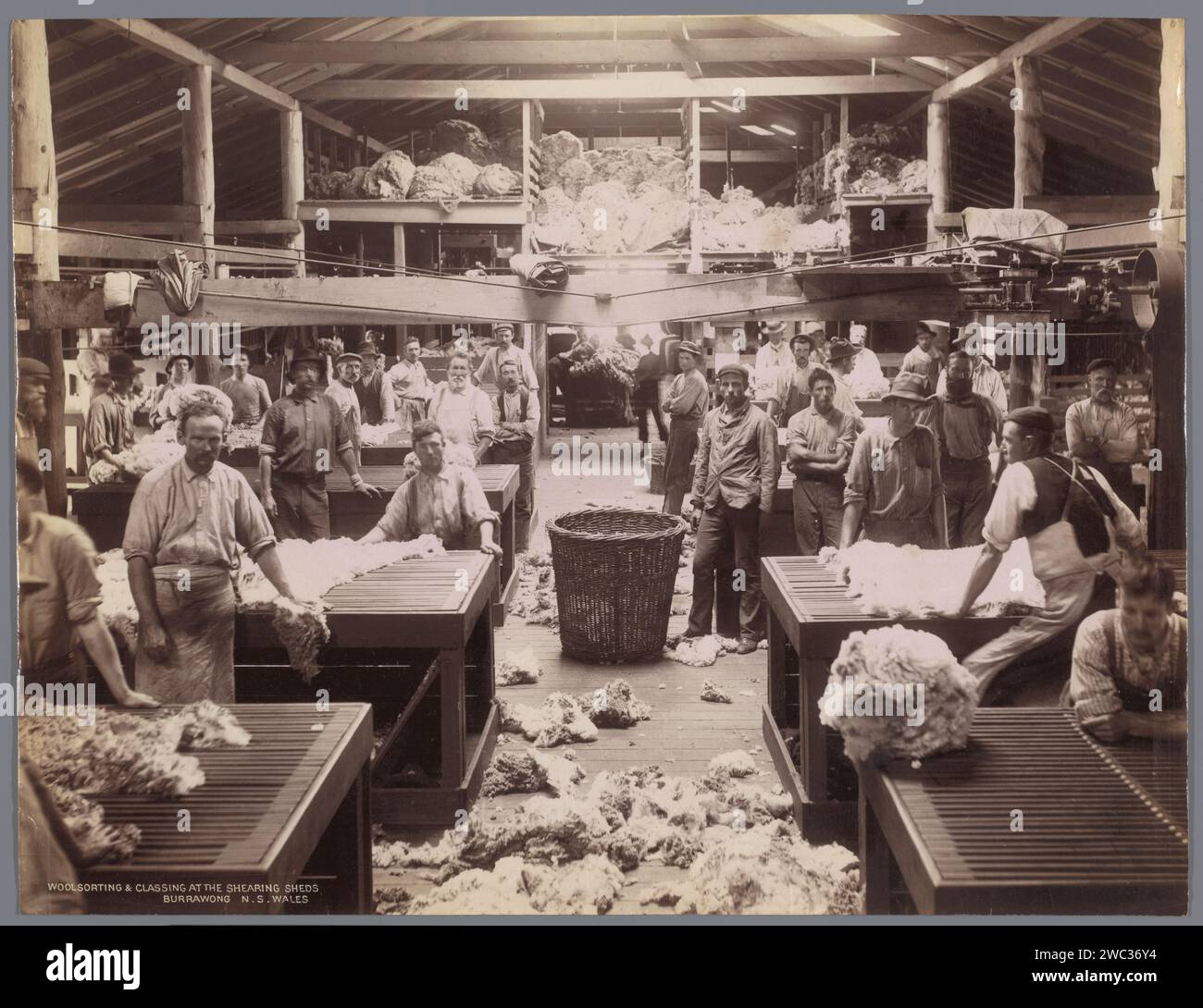 Ouvriers Tri et traitement de la laine dans une usine à Burrawang, Charles Henry Kerry, 1890 - 1900 photographie Burrawang papier albumen imprimer procédés spéciaux pour le tissu de laine Burrawang Banque D'Images