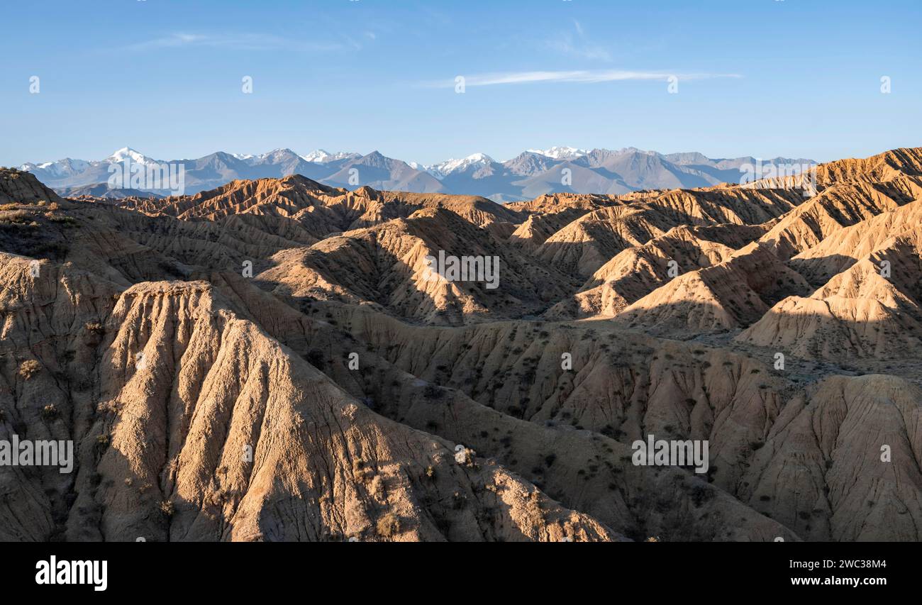 Lever du soleil sur les canyons, montagnes Tian Shan en arrière-plan, paysage vallonné érodé, badlands, Vallée des rivières oubliées, près de Bokonbayevo Banque D'Images