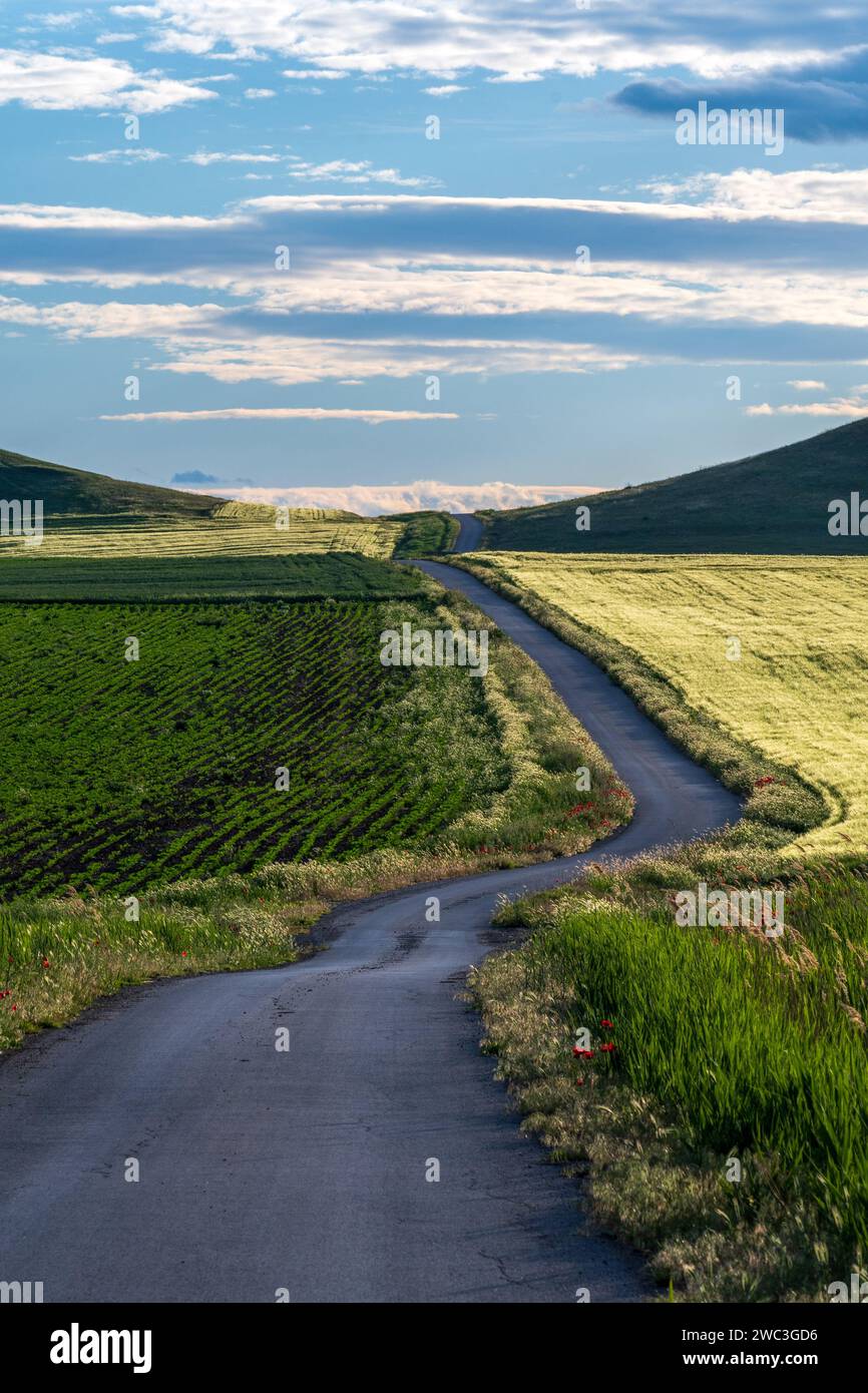Le beau paysage. Photographie de voyage. Sur la route. Quelque part en Macédoine Banque D'Images