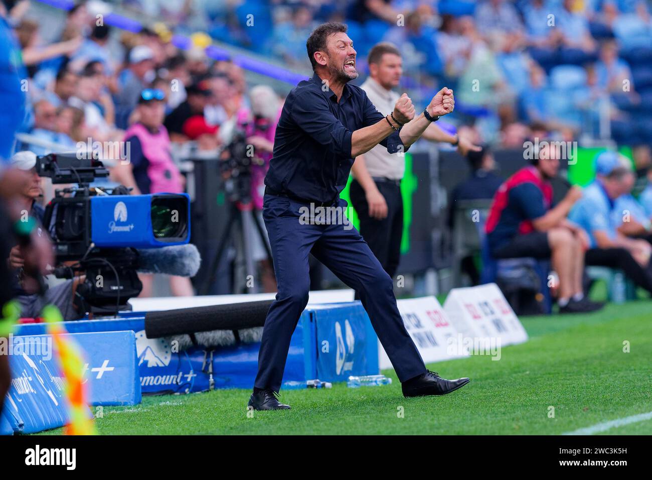 Sydney, Australie. 13 janvier 2024. L'entraîneur Tony Popovic de Victory réagit lors du match de Rd27 hommes de la A-League entre les Central Coast Mariners et Melbourne Victory au stade Allianz le 13 janvier 2024 à Sydney, Australie Credit : IOIO IMAGES/Alamy Live News Banque D'Images