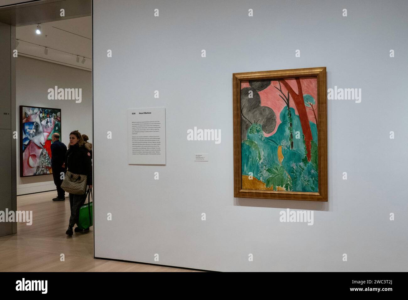 Henri Matisse 'periwinkles/jardin marocain' est exposé au Museum of Modern Art à New York, 2024 , USA Banque D'Images