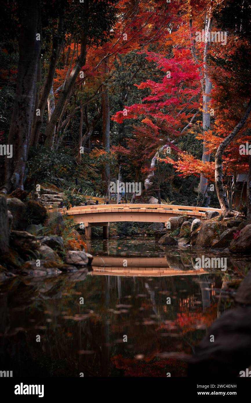 Magnifique paysage d'automne d'un petit pont sur une rivière dans le parc de Nara, Japon Banque D'Images