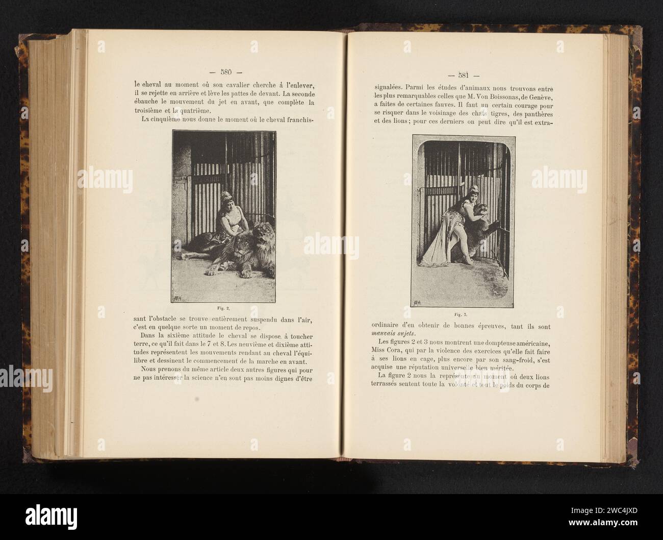 Miss Cora avec un tigre dans une cage, Frédéric Boissonnas, c. 1881 - dans ou avant 1886 impression photomécanique papier bêtes de proie, animaux prédateurs : lion. lions et tigres (spectacle de cirque) Banque D'Images