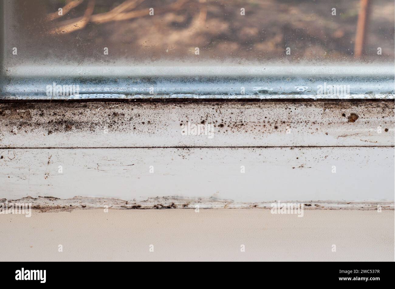 Condensation et moisissure noire sur fenêtre en plastique, problème de gel mural en hiver Banque D'Images