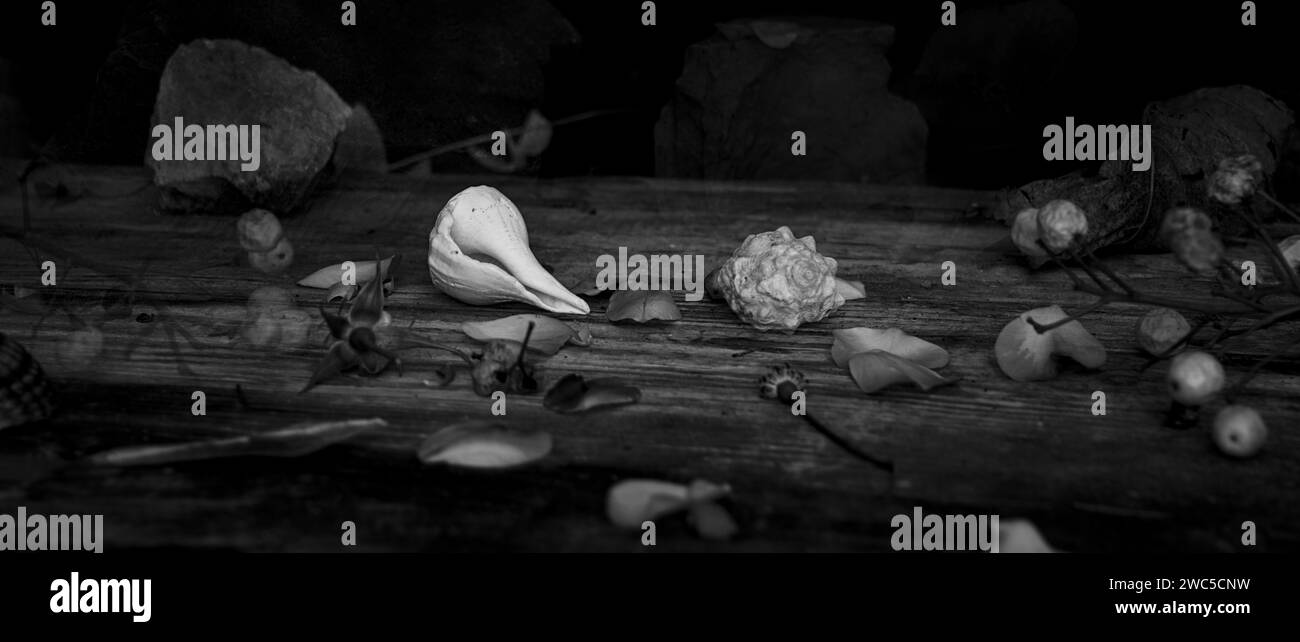 Nature morte pour des célébrations comme la Saint Valentin, Noël, Pâques Banque D'Images