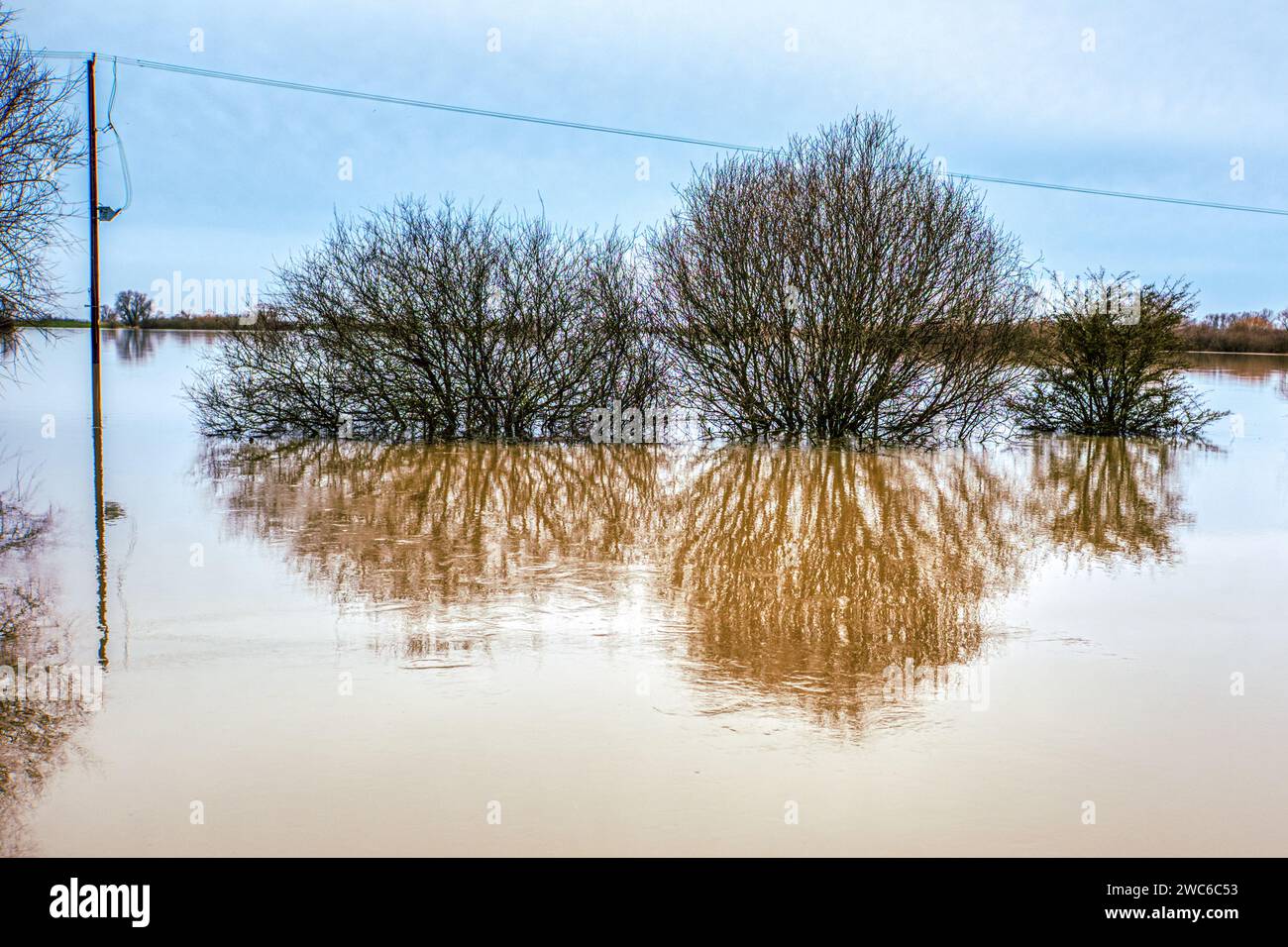 Plaine inondable entre la rivière Old Bedford et le drain Hundred foot, Sutton Gault, Sutton-in-the-Isle, près d'Ely, Cambridgeshire, ROYAUME-UNI Banque D'Images