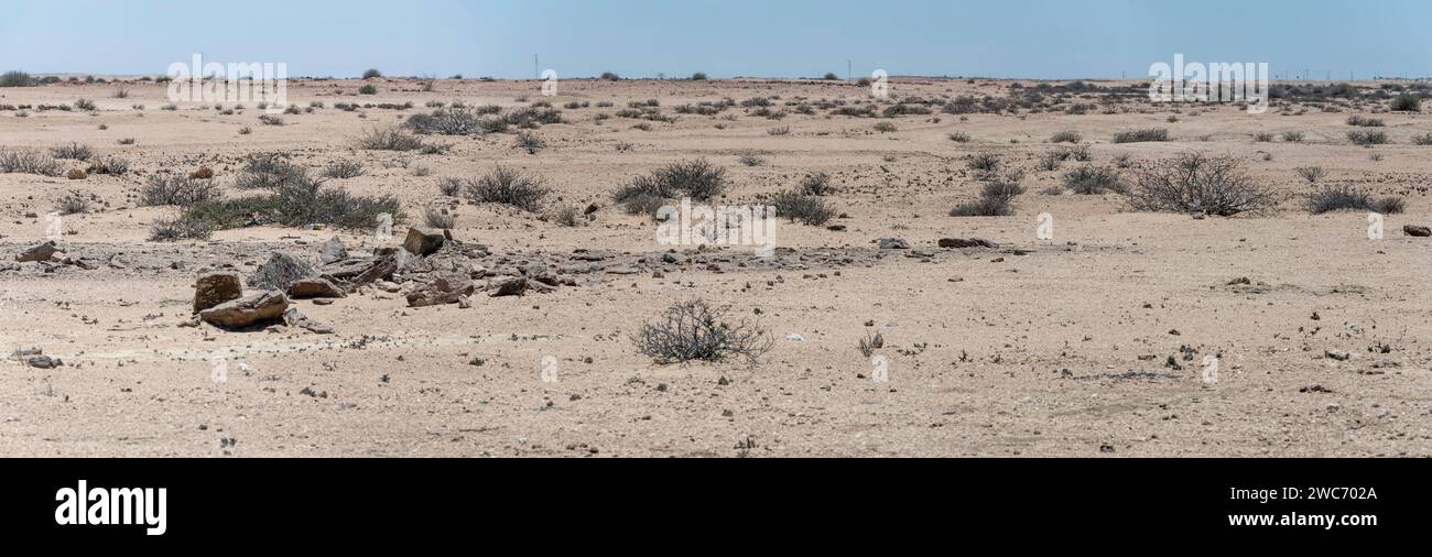 Paysage avec des buissons et du sable dans le désert, tourné dans la lumière brillante de la fin du printemps près de Trekkopje, Namibie, Afrique Banque D'Images