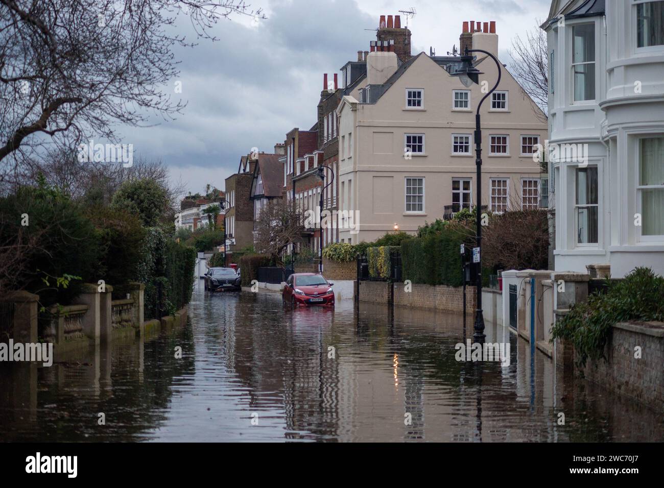 Londres, Royaume-Uni. 14 janvier 2024. La marée est exceptionnellement élevée et la galerie marchande de Chiswick est inondée. La marée exceptionnellement haute couvre la route au centre commercial Chiswick, difficile circulation et cyclistes, mais un chien aime baiser dans les eaux de crue. Crédit : Peter Hogan/Alamy Live News Banque D'Images