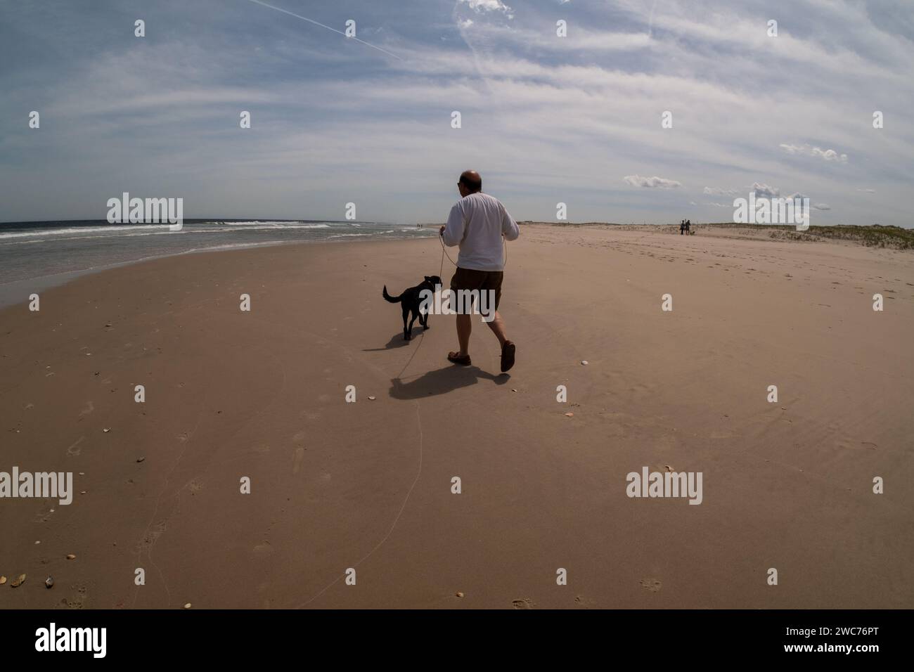 Un individu mâle qui se promène tranquillement le long des rives sablonneuses d'une plage, accompagné de son fidèle compagnon canin Banque D'Images