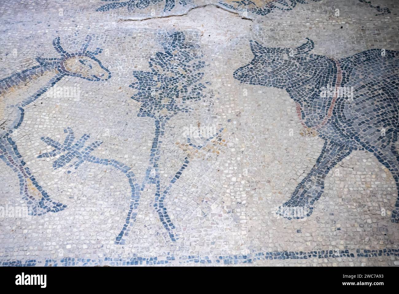Mosaïque de porte Harran, 5-6 siècle A.D. Sanliurfa. fragment Banque D'Images