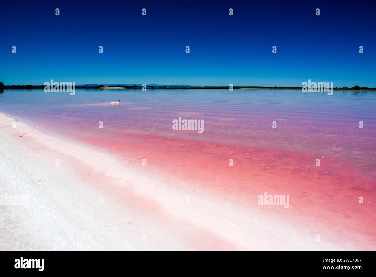 Plage de sel et eau rose près d'Arles, France Banque D'Images