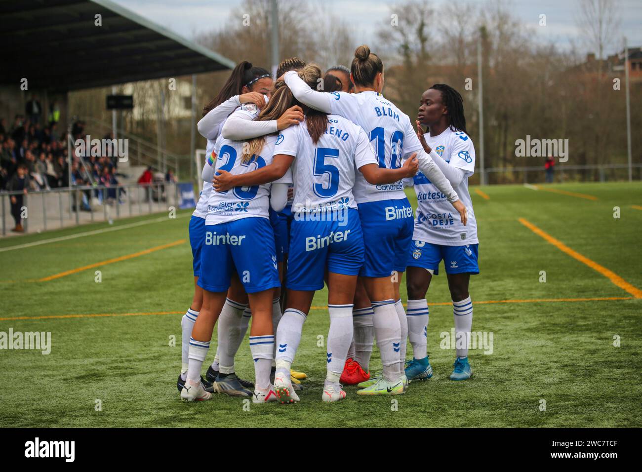 San Claudio, Espagne, le 14 janvier 2024 : les joueurs DE L'UDG Tenerife célèbrent le premier but lors de la manche 16 de la SM la Reina Cup 2023-24 entre le Real Oviedo FEM et l'UDG Tenerife, le 14 janvier 2024, au complexe sportif El Castañeo, à San Claudio, Espagne. Crédit : Alberto Brevers / Alamy Live News. Banque D'Images