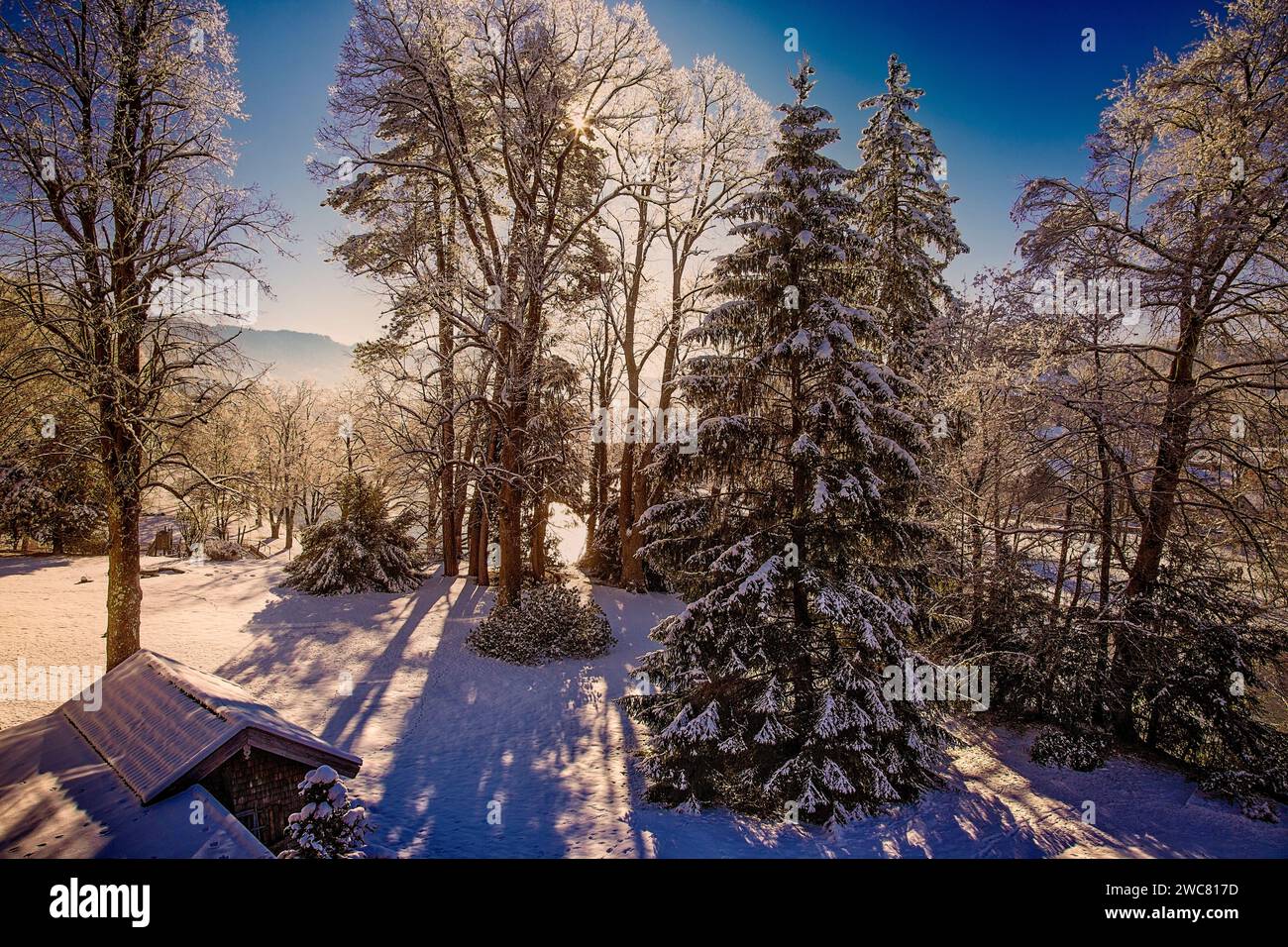 DE - BAVIÈRE : hiver le long de la rivière Isar à Bad Toelz, Oberbayern, Allemagne Banque D'Images