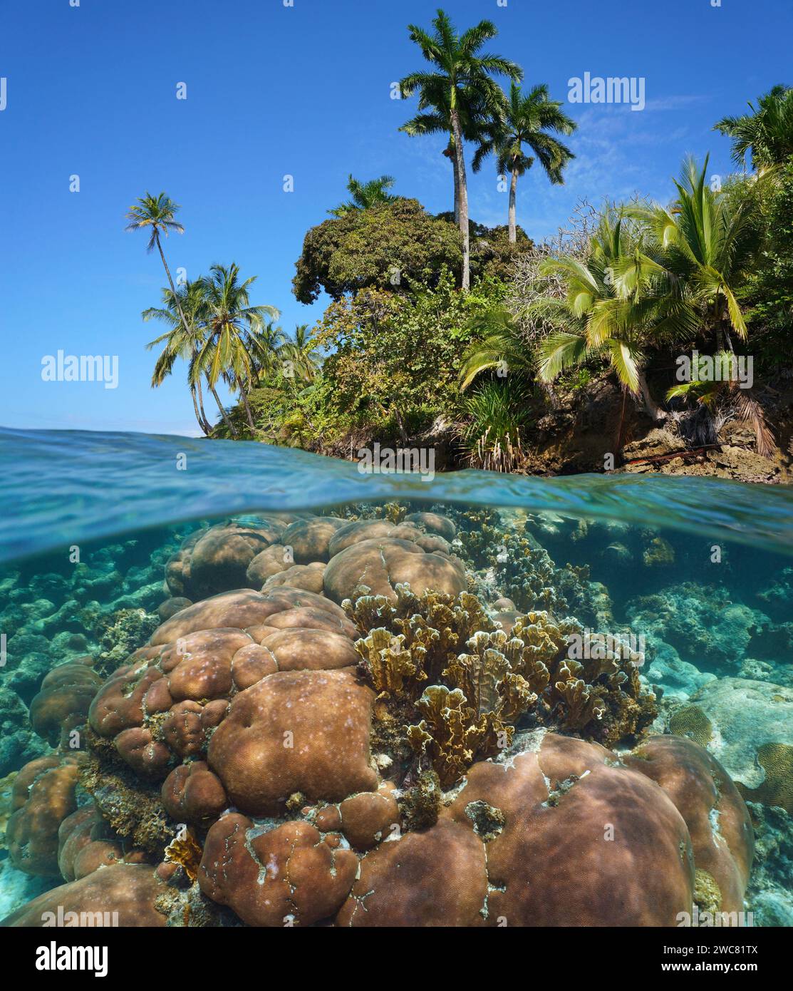Rivage de mer tropicale avec un récif de corail sous-marin, mer des Caraïbes, vue divisée à moitié sur et sous la surface de l'eau, scène naturelle, Amérique centrale, Panama Banque D'Images