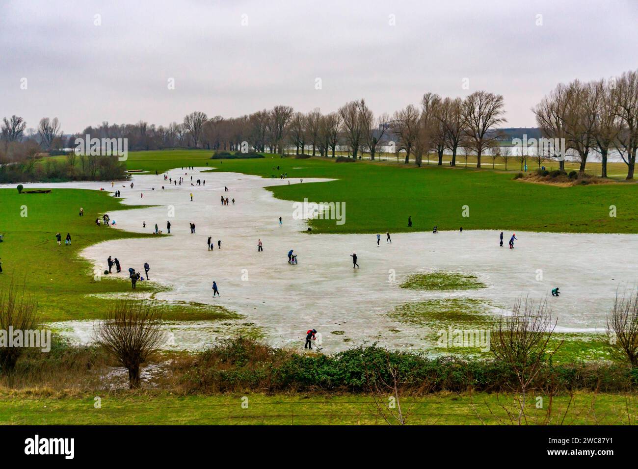 Die Rheinwiesen BEI Düsseldorf-Niederkassel, Eisflächen nach Hochwasser, durch aufgestiegenes Grundwasser hinter dem Rheindeich, Wintervergnügen, Eislaufen, NRW, Deutschland, gefrorene Rheinwiesen *** les prairies du Rhin près de Düsseldorf Niederkassel, patinoire après les inondations, en raison de la montée des eaux souterraines derrière la digue du Rhin, amusement hivernal, patinage sur glace, NRW, Allemagne, prairies rhénanes gelées Banque D'Images