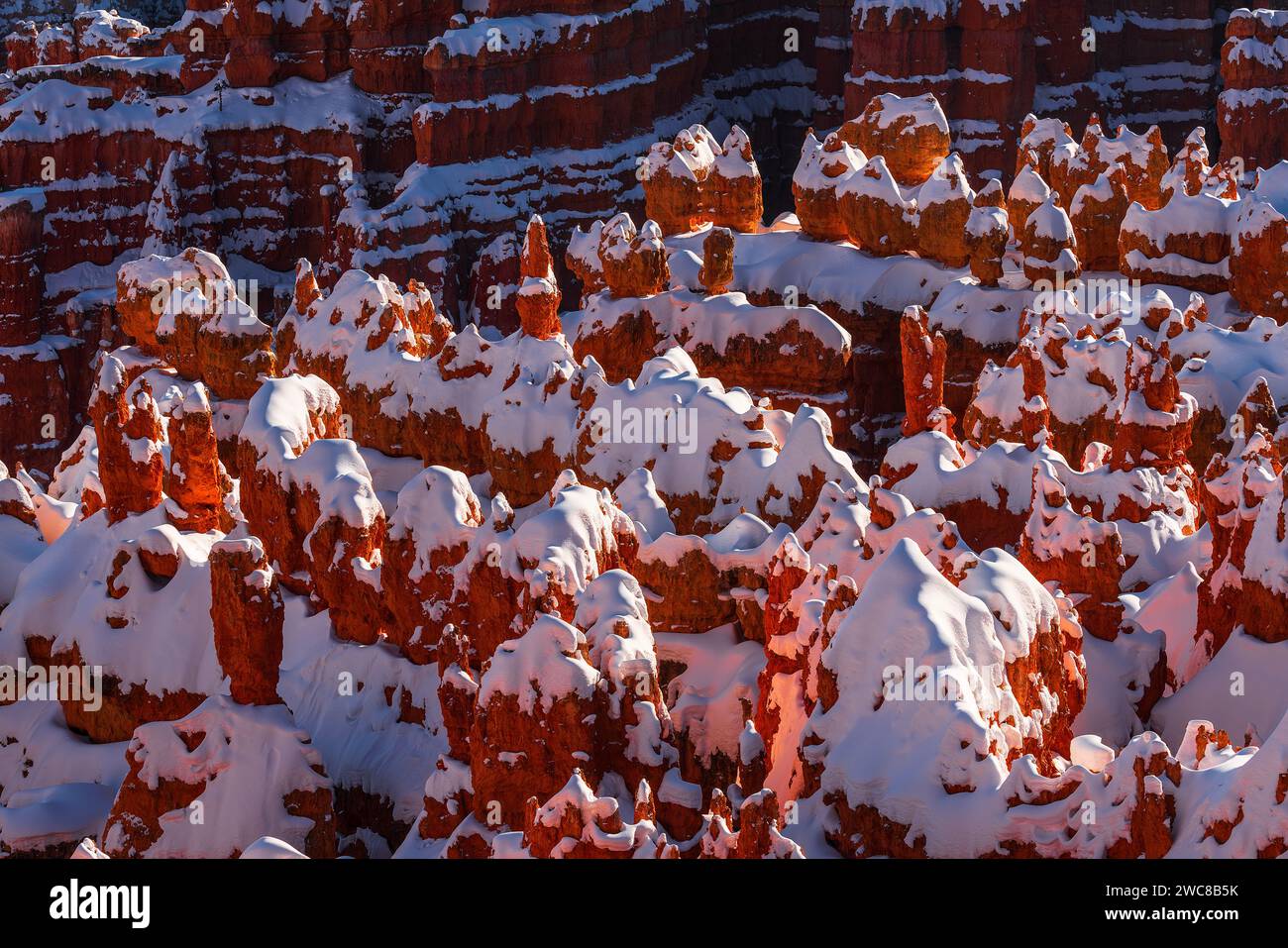Hoodoos enneigés dans le parc national de Bryce Canyon, Utah Banque D'Images