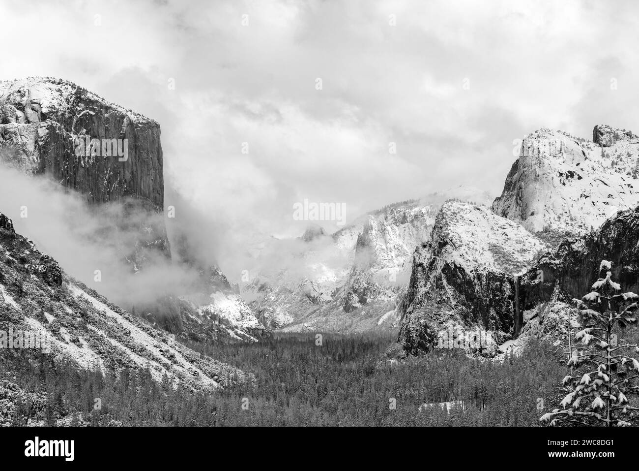Half Dome et El Capitan enveloppés dans la neige et la brume hivernale, Yosemite Valley, Sierra Nevada, Californie, États-Unis Banque D'Images