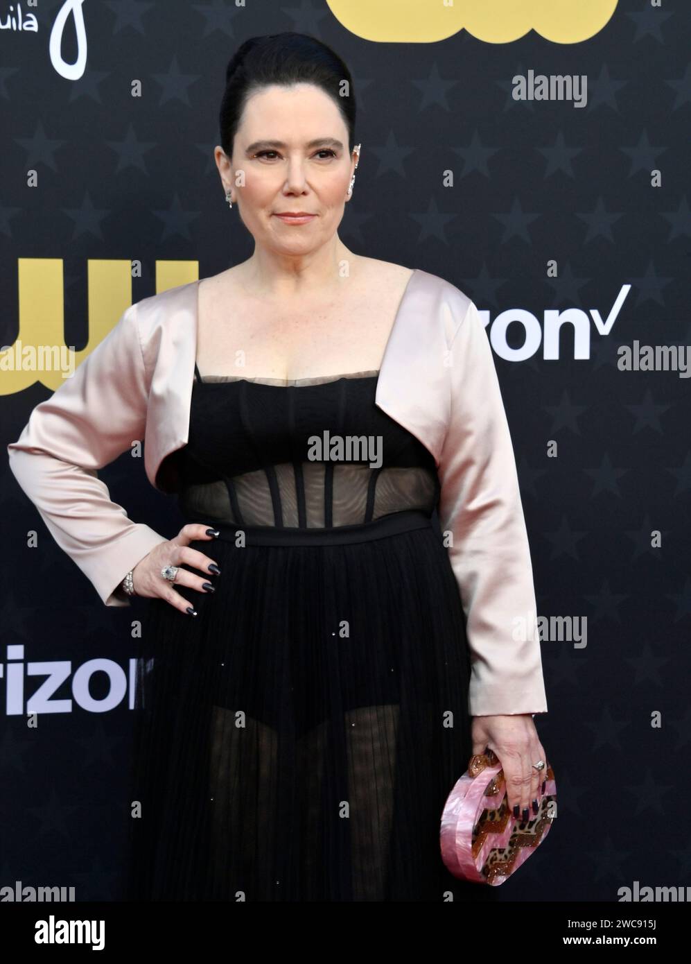 Los Angeles, États-Unis. 14 janvier 2024. Alex Borstein assiste à la 29e cérémonie annuelle des Critics' Choice Awards au Barker Hanger à Santa Monica, en Californie, le dimanche 14 janvier 2024. Photo de Jim Ruymen/UPI crédit : UPI/Alamy Live News Banque D'Images