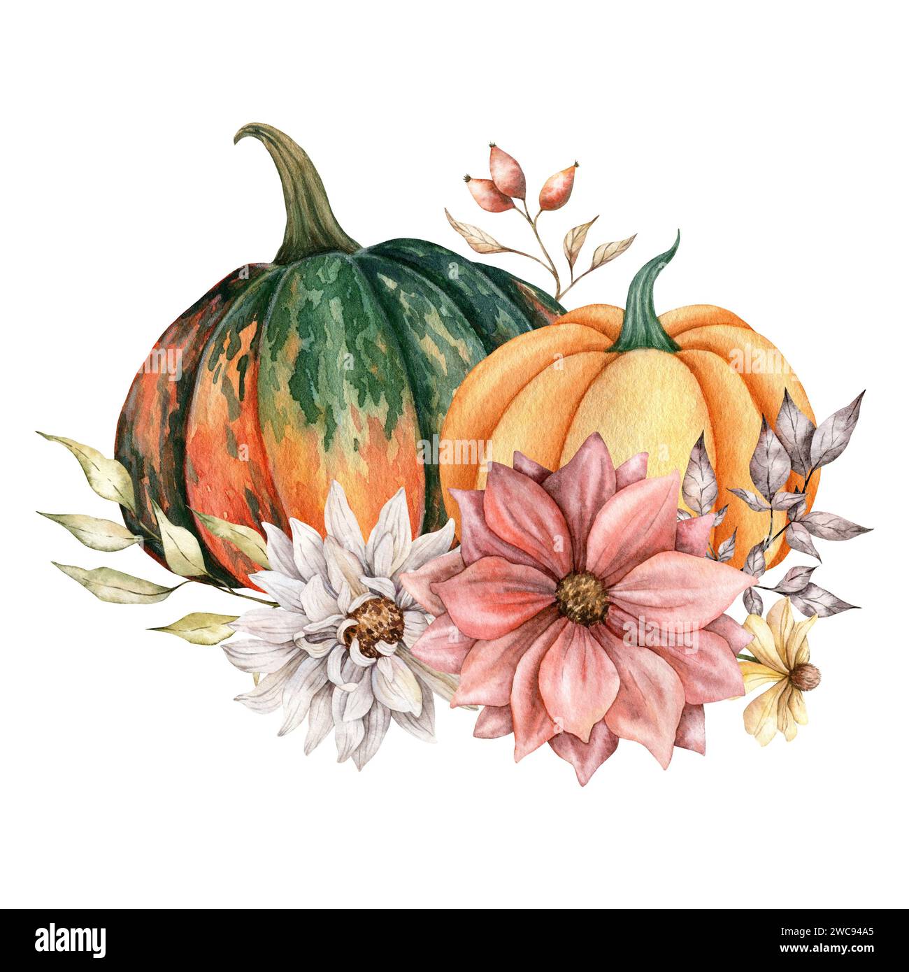 Arrangement floral de citrouilles oranges et vertes avec dahlia. Fleurs d'asters peintes à la main. Illustration à l'aquarelle. Feuilles d'automne, et plantes pour saluer Banque D'Images