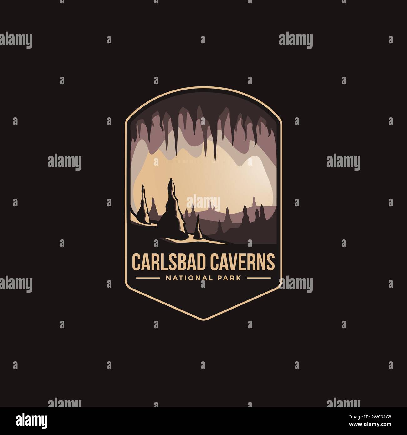 Emblème patch logo illustration de Carlsbad Caverns National Park sur fond sombre Illustration de Vecteur