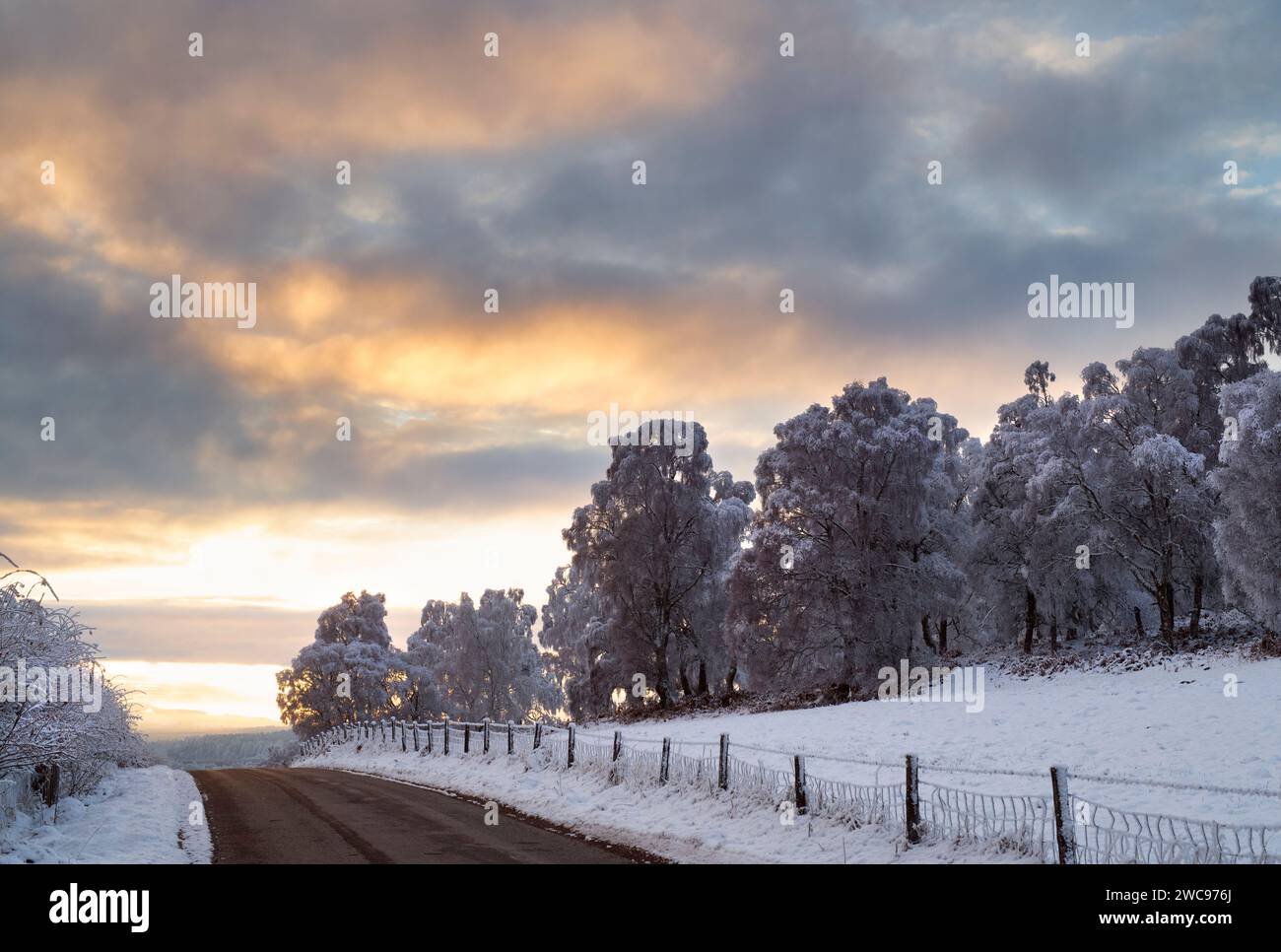 Nuages de coucher de soleil d'hiver dans la neige. Speyside, Morayshire, Écosse Banque D'Images