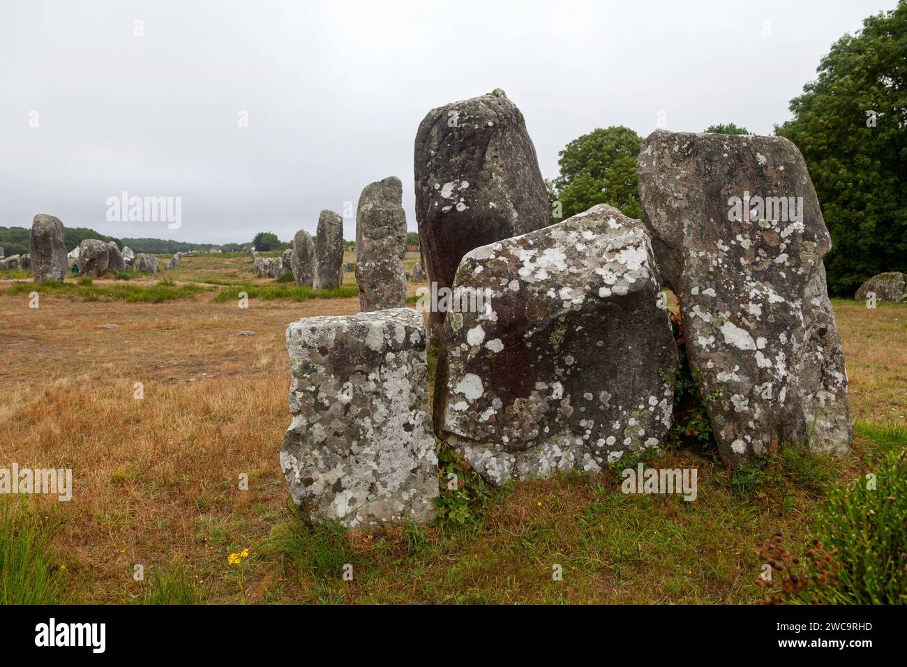 Les pierres de Carnac sont un ensemble exceptionnellement dense de sites mégalithiques autour du village de Carnac en Bretagne, composé d'alignements, dolmen Banque D'Images