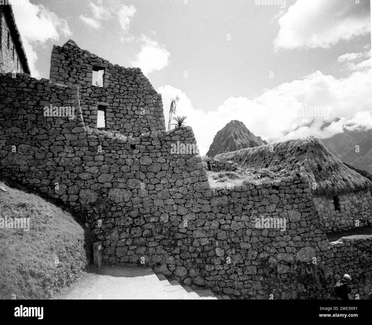 Machu Picchu Banque D'Images Machu Picchu Banque D'Images