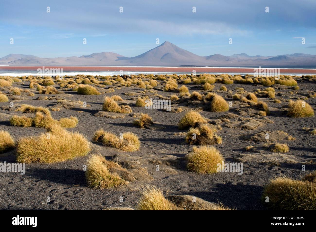 Laguna Colorada près du Salar de Uyuni en Bolivie. Banque D'Images