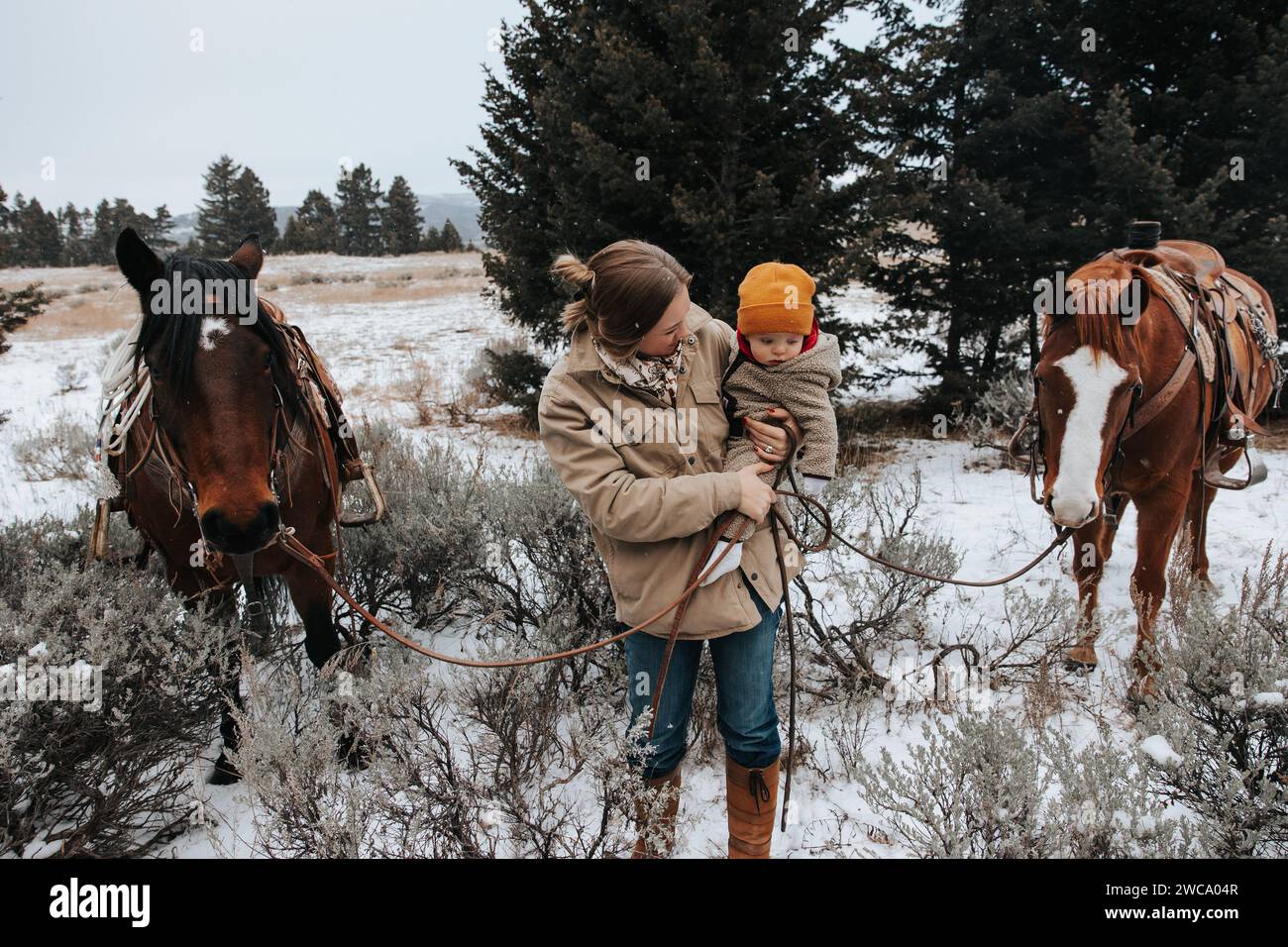 Maman, bébé et chevaux observent la coupe de sapin de noël Banque D'Images