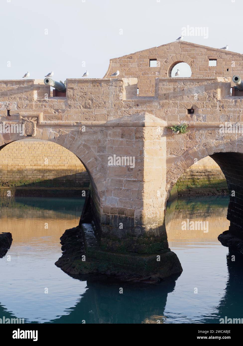 Mouettes assis au sommet des murs de la ville et des canons au fort avec des arches en dessous reflétées dans l'eau à Essaouira Maroc, 15 janvier 2024 Banque D'Images