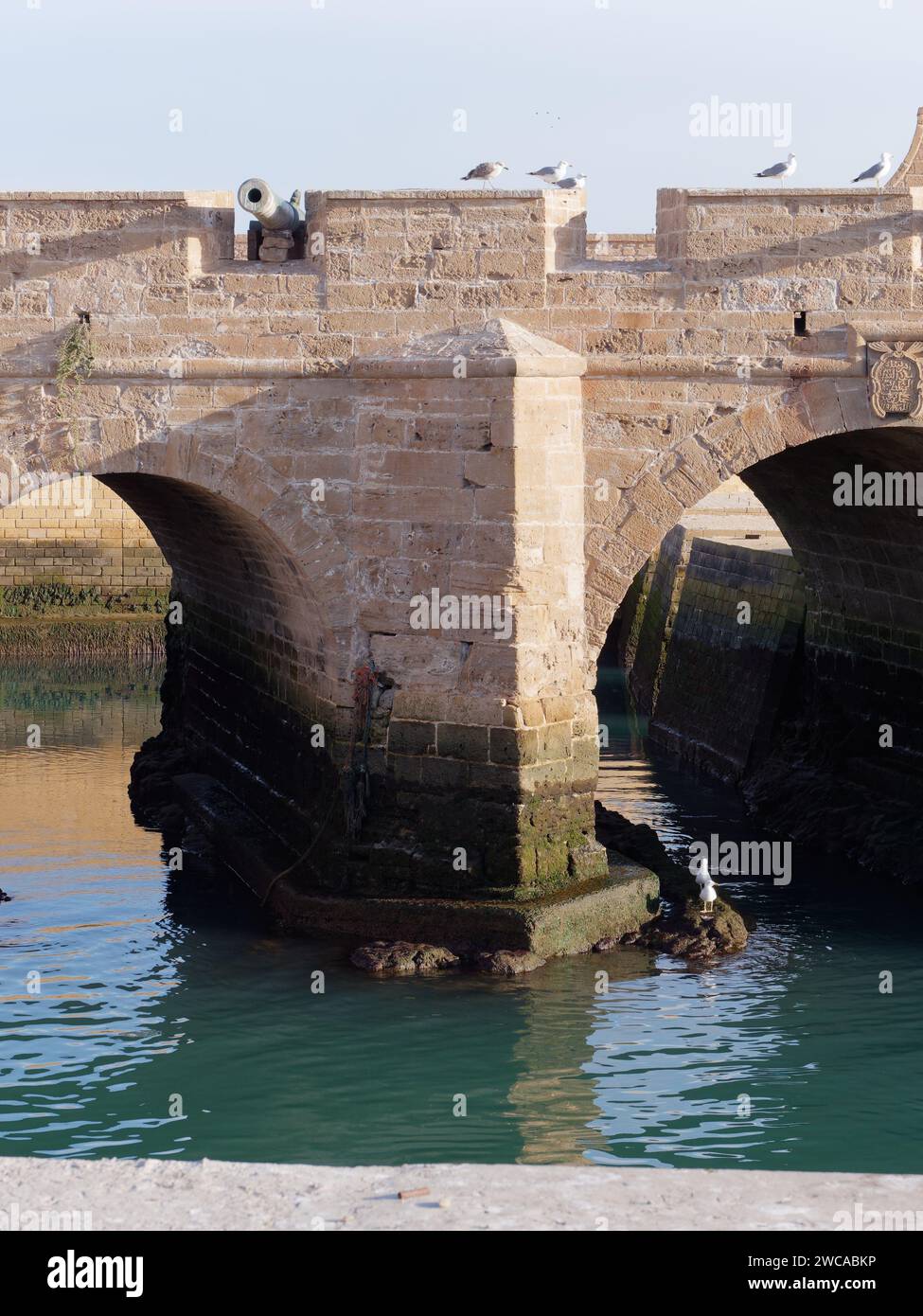 Mouettes assis au sommet des murs de la ville et des canons au fort avec des arches en dessous reflétées dans l'eau à Essaouira Maroc, 15 janvier 2024 Banque D'Images