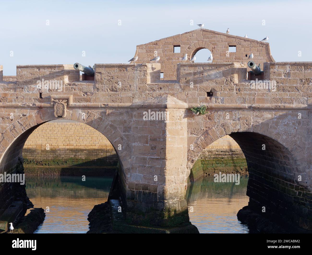 Mouettes assis au sommet des murs de la ville et des canons au fort avec des arches en dessous reflétées dans l'eau à Essaouira Maroc, 15 janvier 2024 Banque D'Images