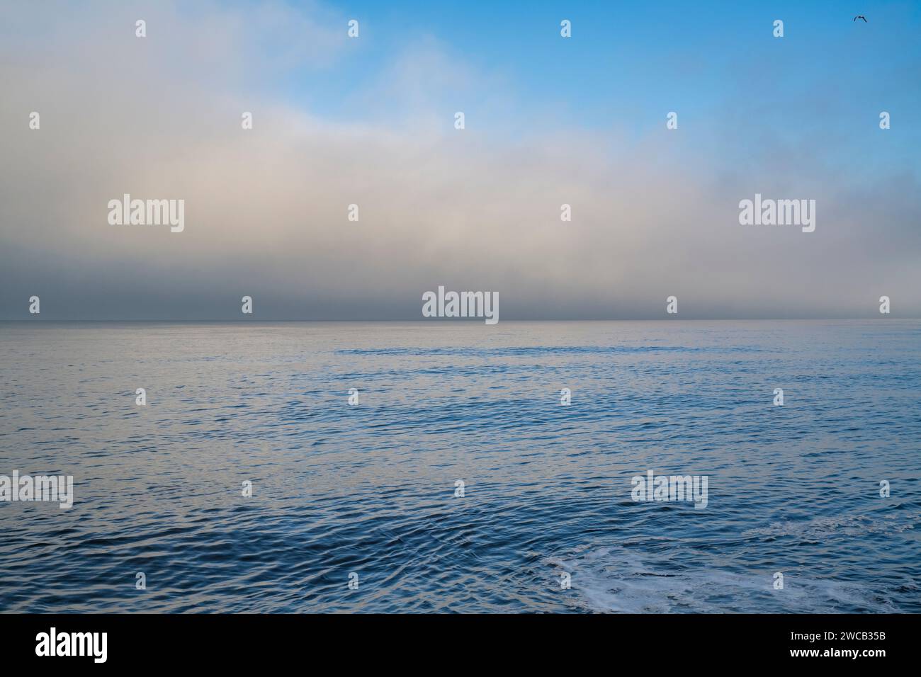 Brume de mer sur la plage de Spey Bay. Morayshire, Écosse Banque D'Images