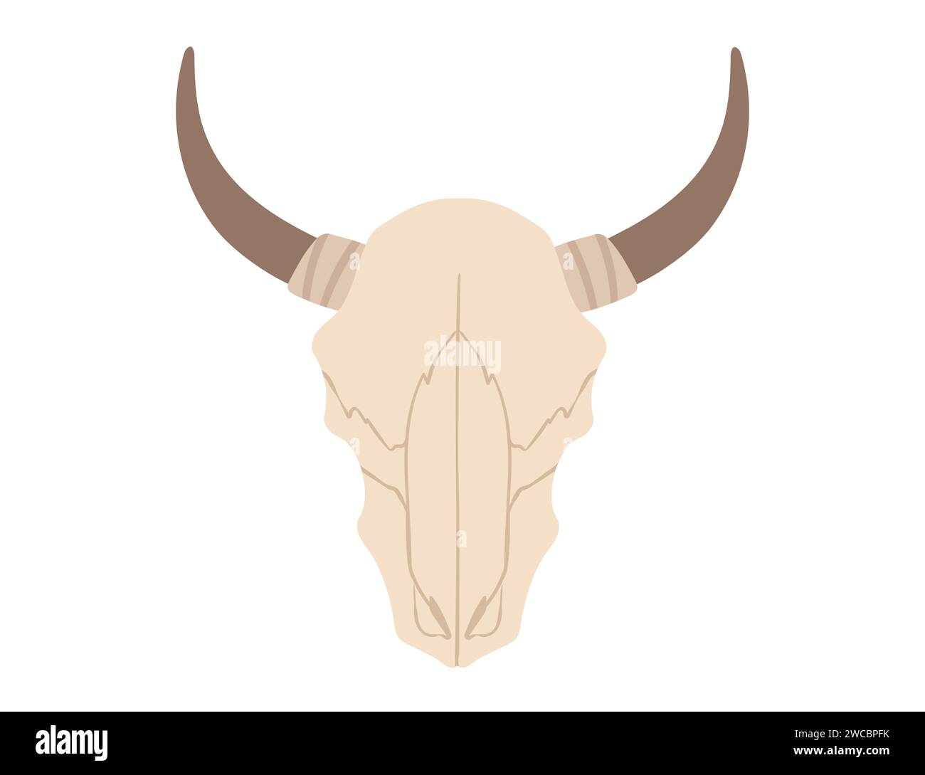 Illustration de vecteur de crâne de bétail isolé sur fond blanc Illustration de Vecteur