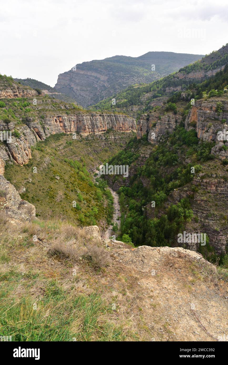 Canyon de la rivière Leza. Camero Viejo, la Rioja, Espagne. Banque D'Images