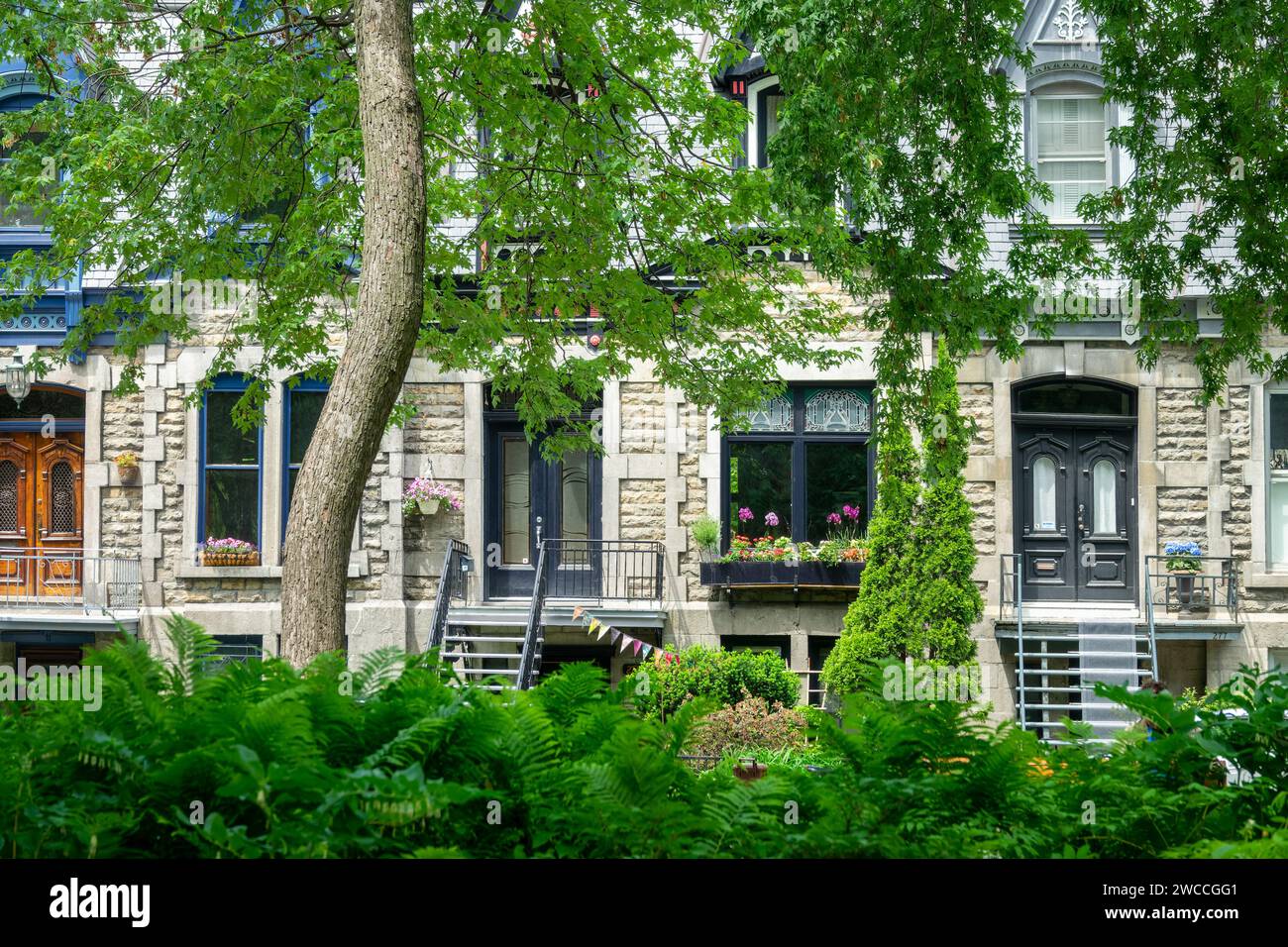 Maisons victoriennes du plateau Mont-Royal à Montréal (Québec) Banque D'Images