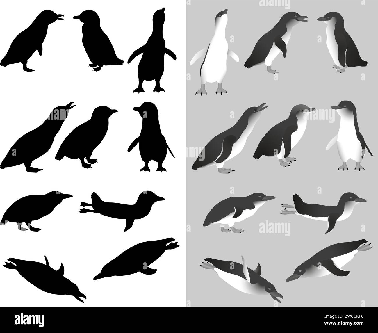 Collection de petits pingouins ou oiseaux pingouins bleus en image et silhouette noir-blanc Illustration de Vecteur