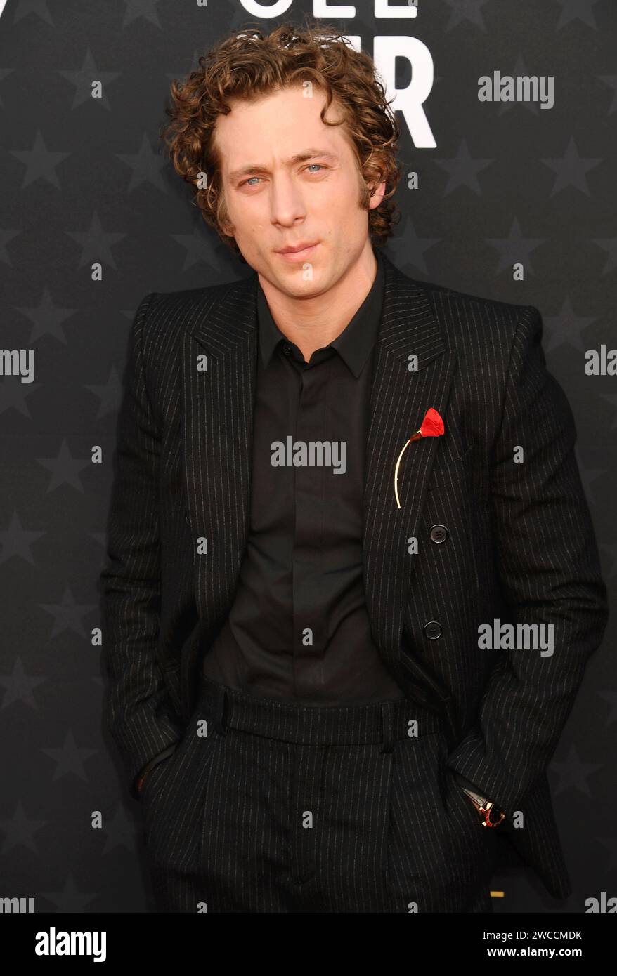 SANTA MONICA, CALIFORNIE - 14 JANVIER : Jeremy Allen White assiste à la 29e cérémonie annuelle des Critics Choice Awards au Barker Hangar le 14 janvier 2024 à Santa Banque D'Images