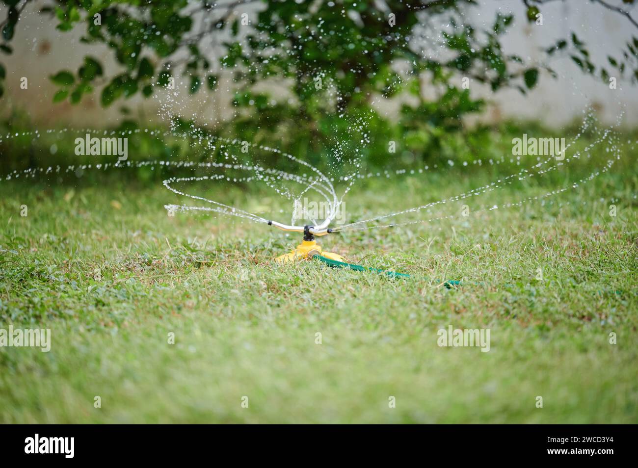 Spray arroseur avec de l'herbe de pelouse d'eau sur fond flou Banque D'Images