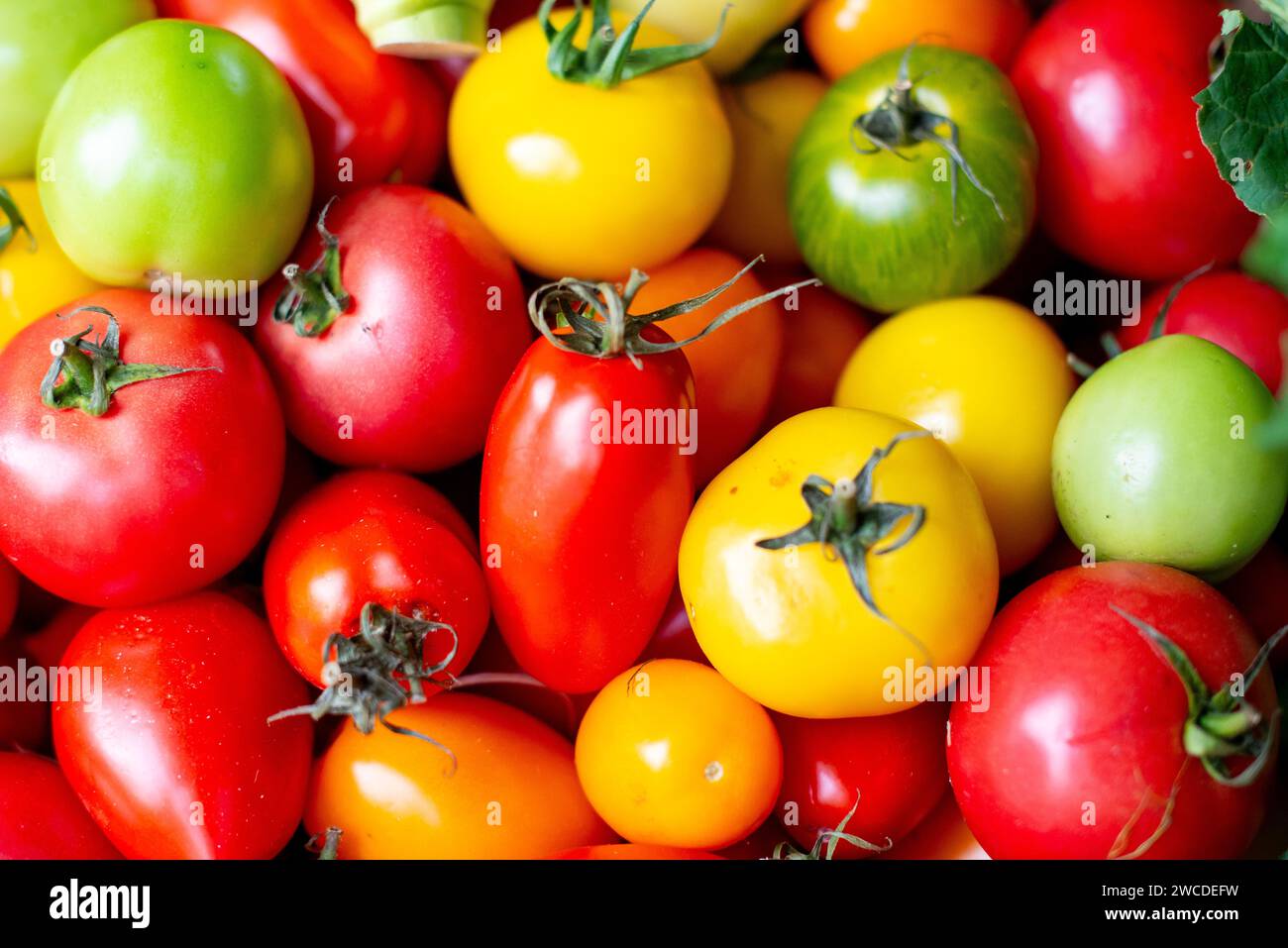 Un assortiment vibrant de tomates et de poivrons, de différentes couleurs telles que le rouge, le jaune et le vert, sont magnifiquement disposés dans un tas coloré Banque D'Images