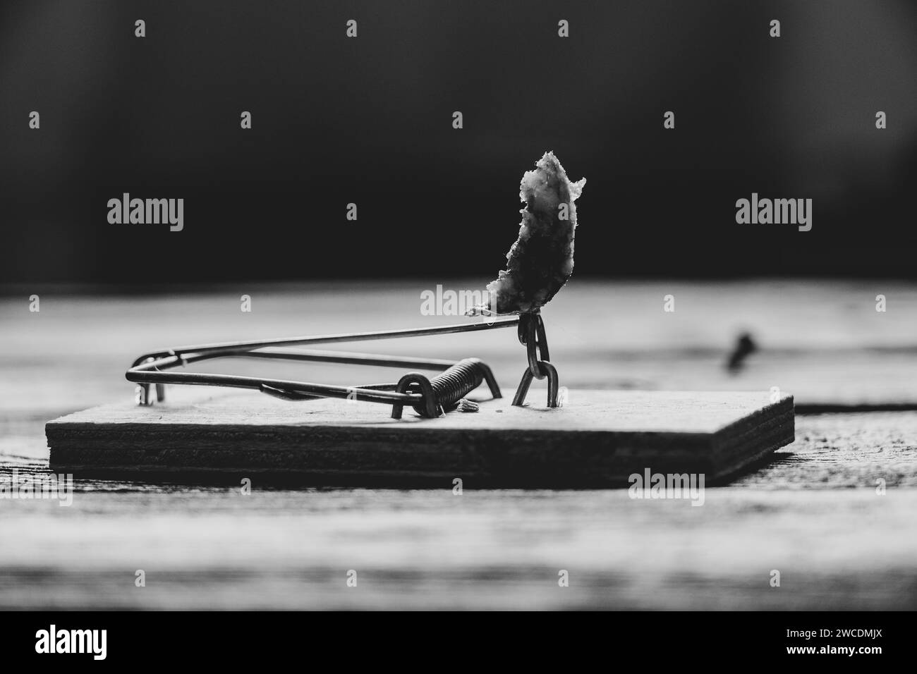 Un piège à souris avec un morceau de saucisse se tient sur un plancher noir en bois dans la maison, attrapant des souris, photo en noir et blanc Banque D'Images