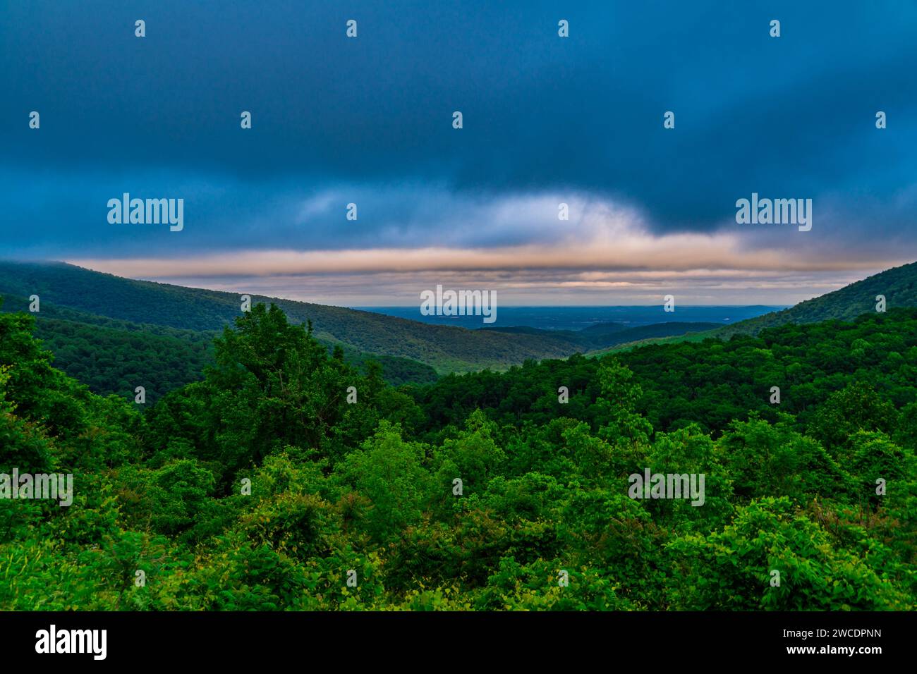 Une vue imprenable sur une vallée verdoyante dans le parc national de Shenandoah, Virginie Banque D'Images