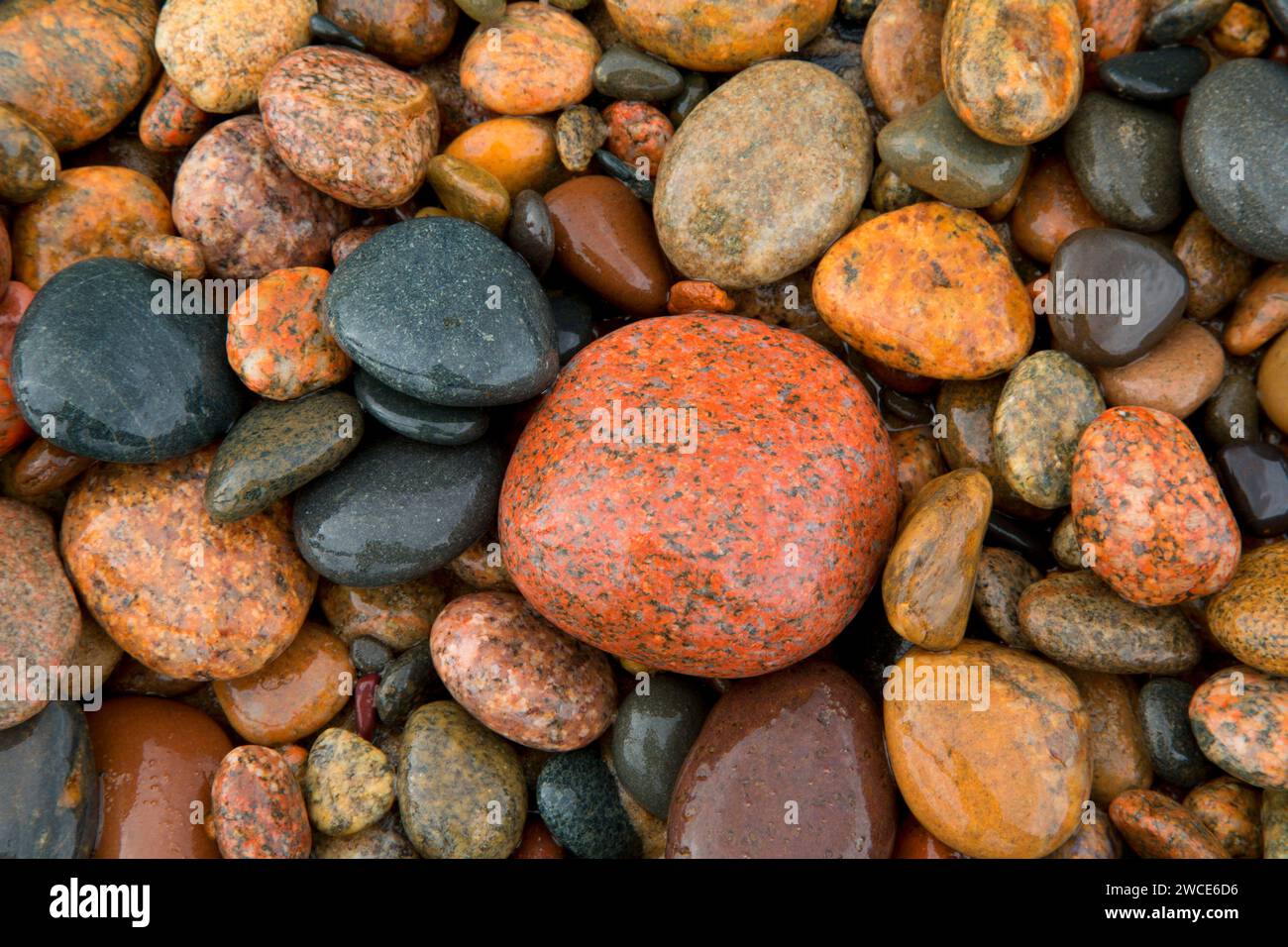 La plage de galets du lac Supérieur, Whitefish Point Bird Observatory, au Michigan Banque D'Images