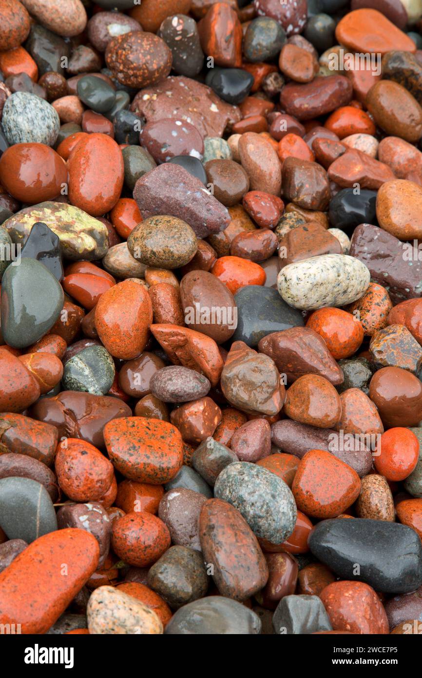 Plage de galets, l'établissement Sugarloaf Cove State Natural Area, au Minnesota Banque D'Images
