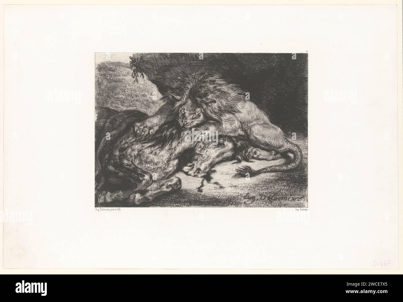 Lion dévore un cheval, Eugène Delacroix, imprimé 1844 sur papier de Paris. bêtes de proie, animaux prédateurs : lion. cheval attaqué par un animal sauvage Banque D'Images