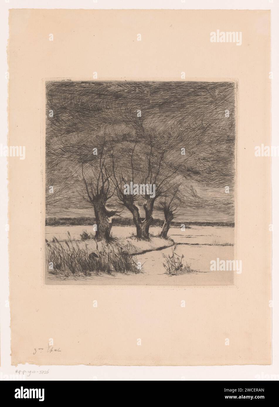 Paysage avec des saules pollard et deux oiseaux dans le Riet, Theodoor Hannon, 1861 - 1910 papier d'impression gravure des paysages. oiseaux. arbres : saule Banque D'Images