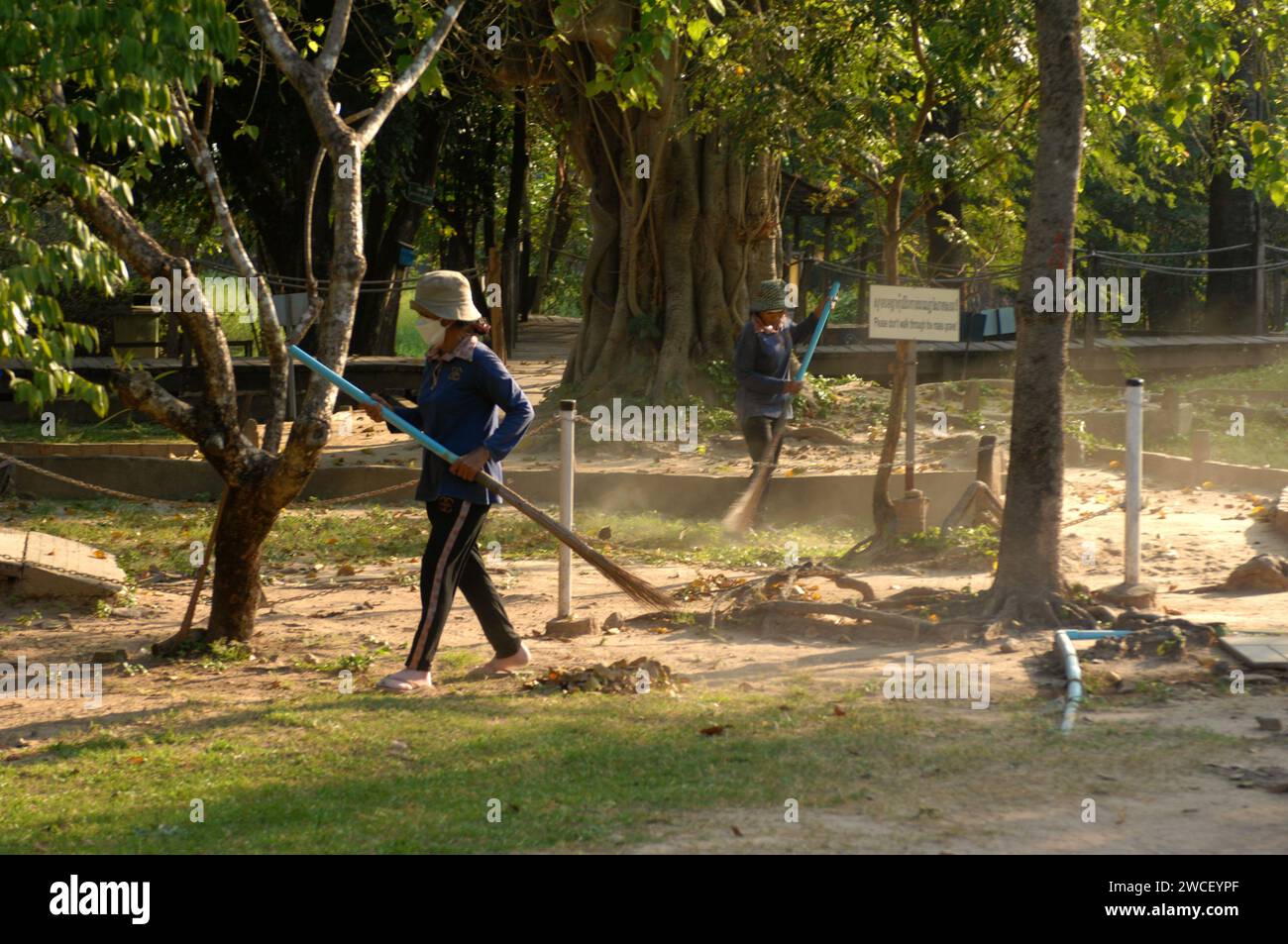 Les dames balayent des feuilles autour d'un arbre tuant dans les champs tuants du Centre génocidaire Choung EK, Phnom Penh, Cambodge. Banque D'Images