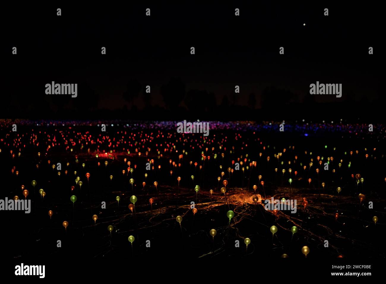 Les lumières multicolores de Field of Light, une installation artistique de l'artiste Bruce Munro à Uluru en Australie centrale Banque D'Images