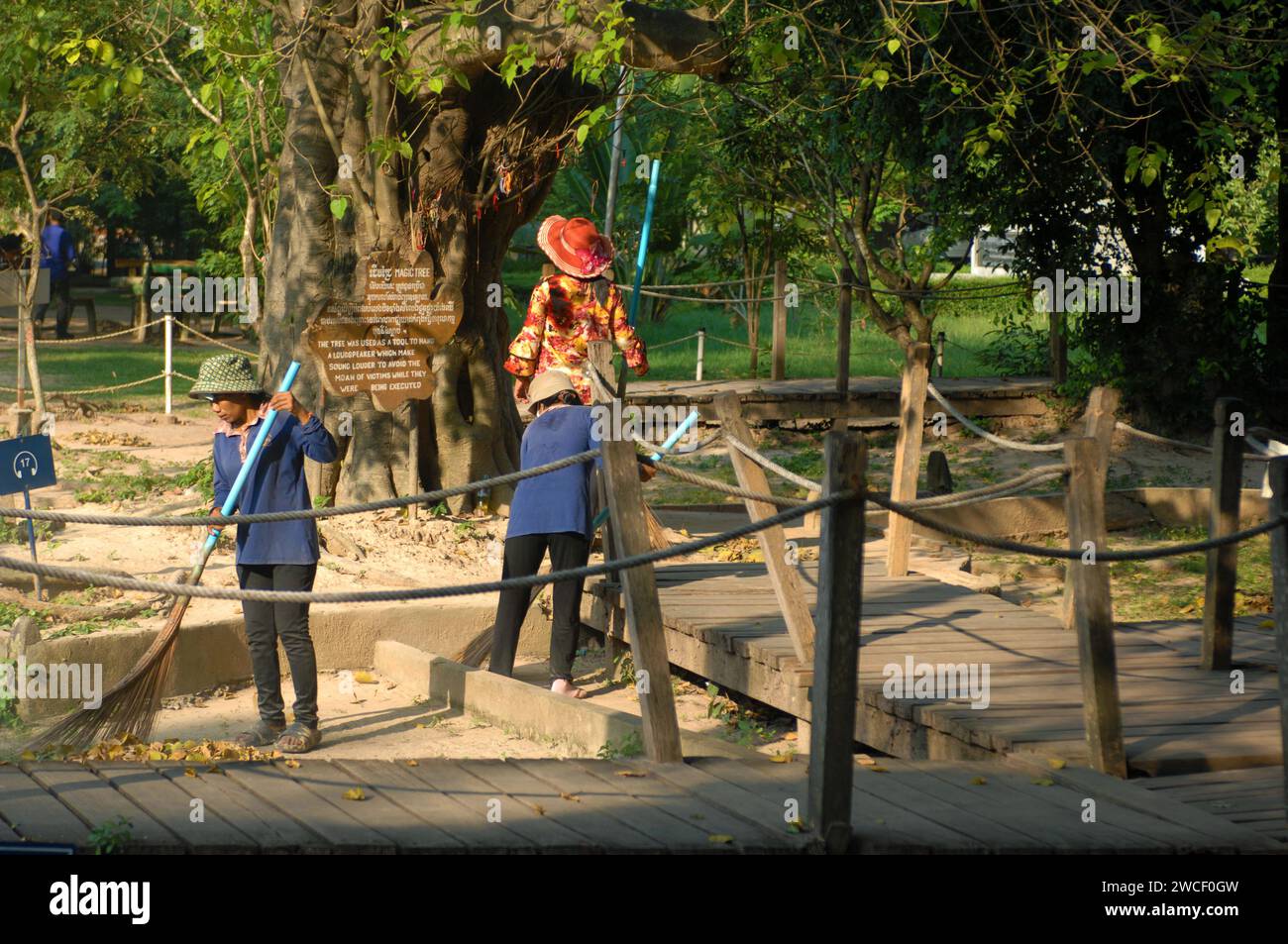 Les dames balayent des feuilles autour d'un arbre tuant dans les champs tuants du Centre génocidaire Choung EK, Phnom Penh, Cambodge. Banque D'Images