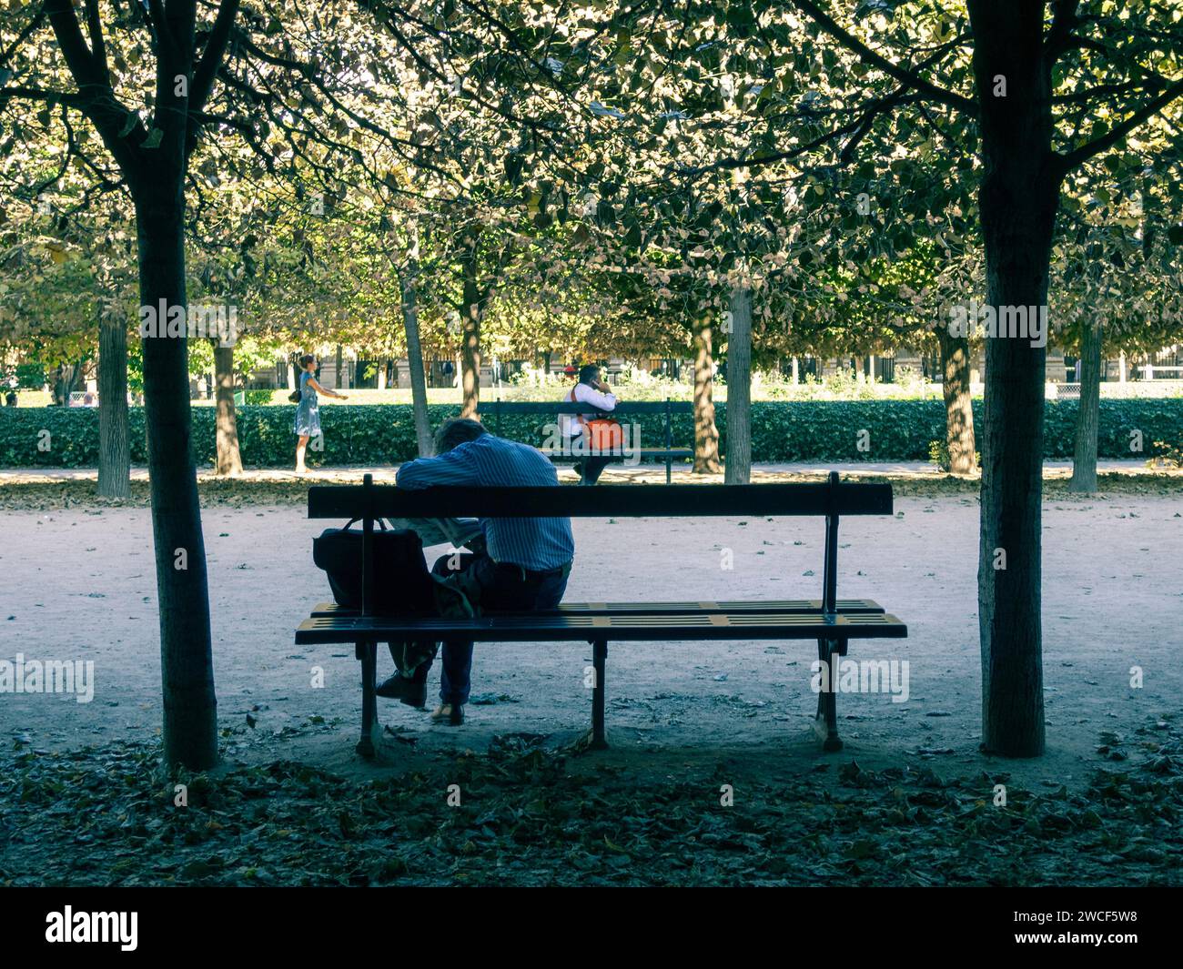 Un individu solitaire est assis sur un banc de parc, trempé dans la pensée ou peut-être profiter d'un moment de solitude, Palais Royal, Paris, France. Banque D'Images